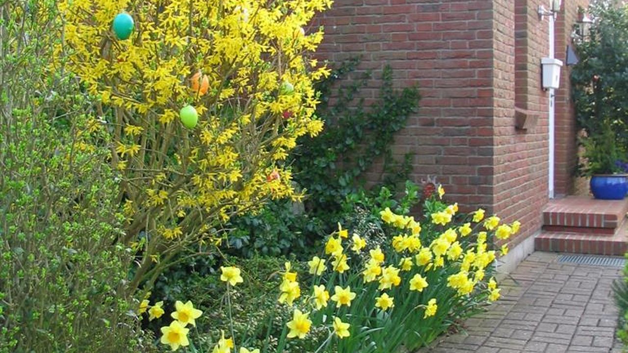 Ostern im Vorgarten der Fresenborg Ostern im Vorgarten der Fresenborg